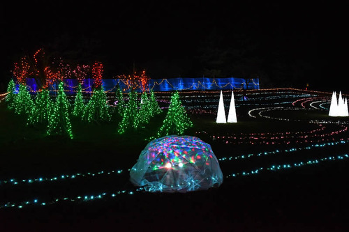 昭和記念公園イルミネーション2016