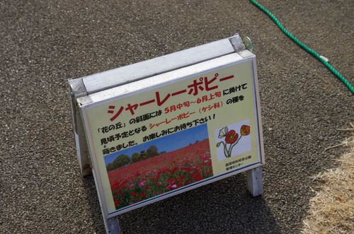 昭和記念公園201401-9