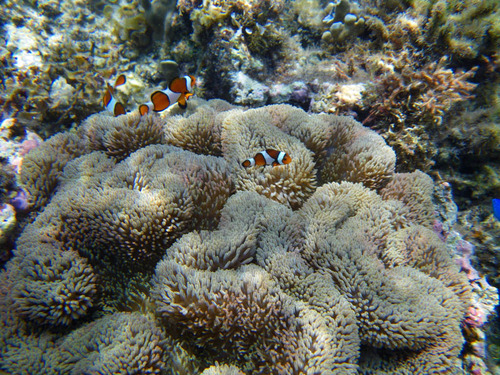 夏休み201008-8