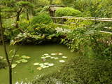 散歩写真-11