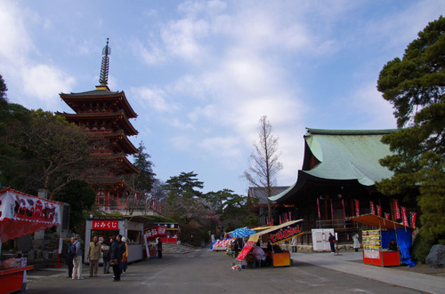 高幡不動201102-6