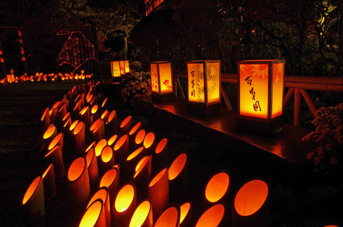 京王百草園201311-10