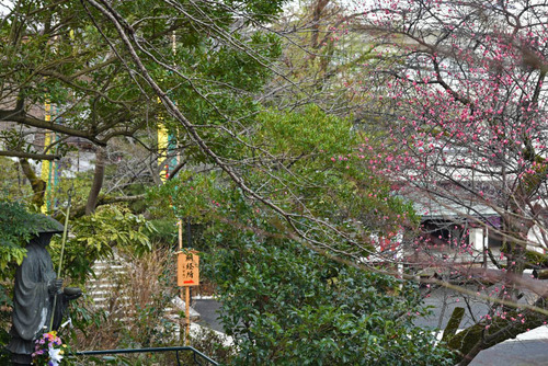 高幡不動尊201601-7