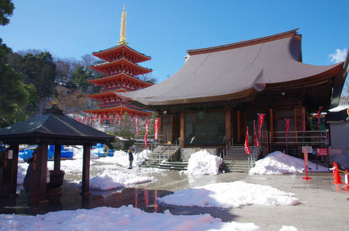 高幡不動201402-3