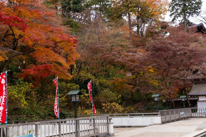 高幡不動尊201812