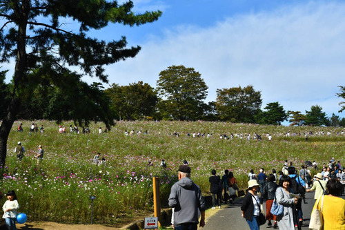 昭和記念公園201610