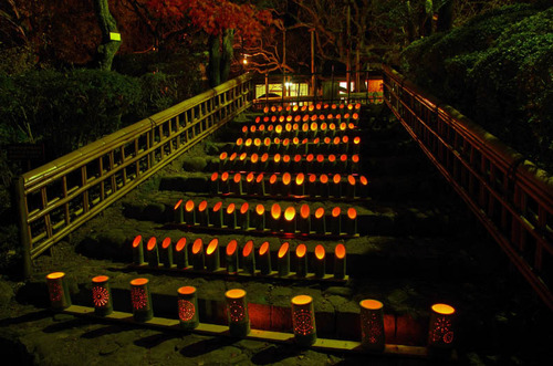 京王百草園201311-6