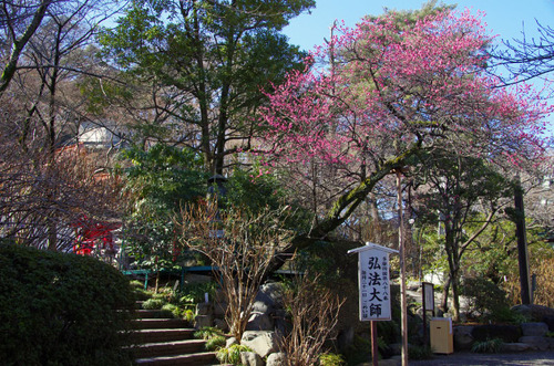 高幡不動尊20110213-10