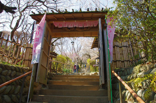 京王百草園201403-1