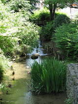 親水公園1-3