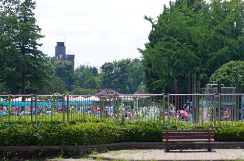 昭和記念公園201408-9