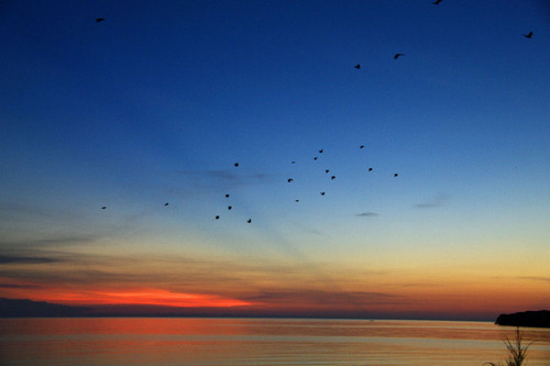 石垣島の夕暮れ201008-2