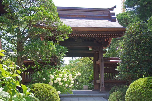 高幡不動201407-3