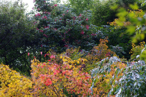 É´Áð±à201010-3