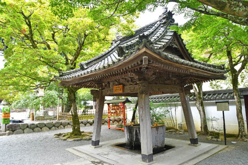 伊豆修禅寺