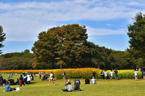 昭和記念公園201610