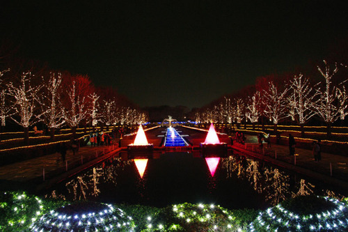 昭和記念公園イルミネーション201012-6
