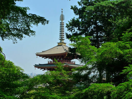 高幡不動尊090829-7