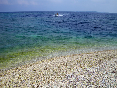 西表島バラス島201008-8