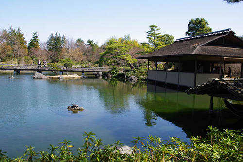 昭和記念公園日本庭園-7