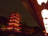 èßÅõ²ñ2008-6