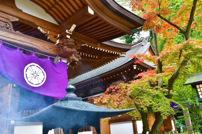 高幡不動尊201710