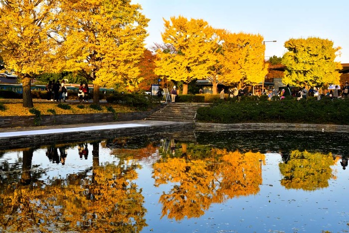 昭和記念公園201711