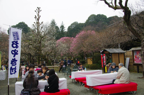 京王百草園201203-2