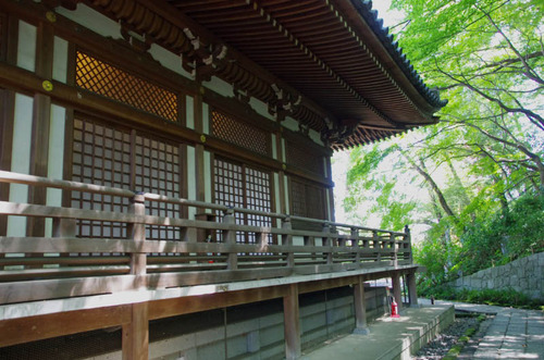 高幡不動201309-5