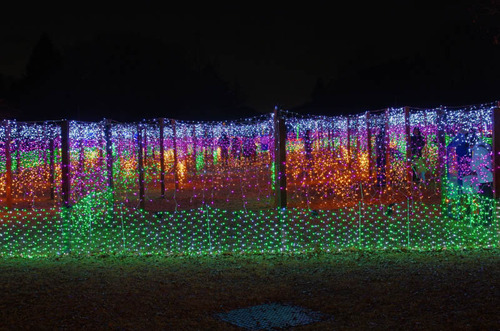 昭和記念公園201312-1