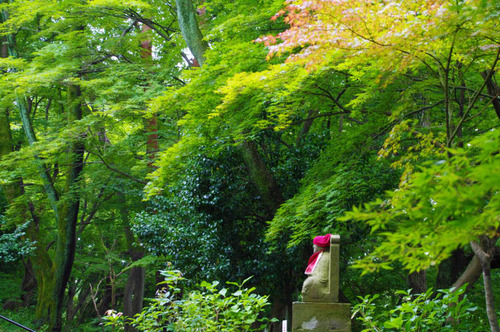 高幡不動201307-6