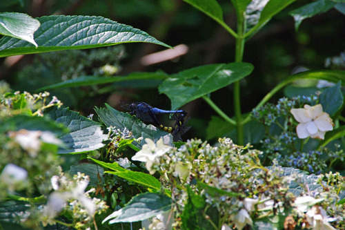 ��Ȩ��ưº20100710-5