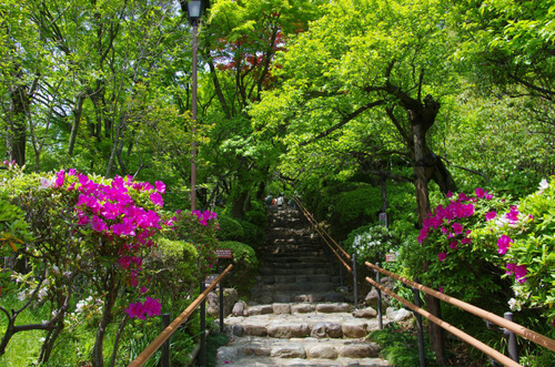 百草園201105-1