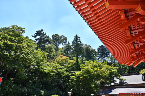 高幡不動尊201607-7