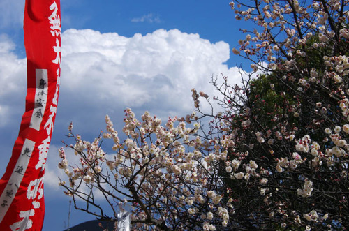 高幡不動尊201203-13