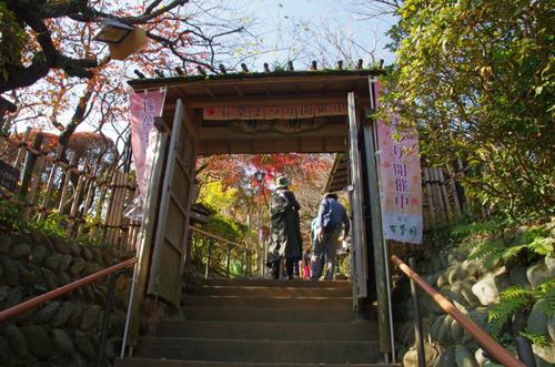 京王百草園201411-1
