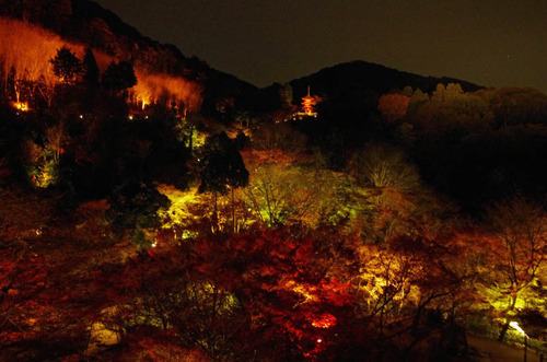 京都清水寺201211-3