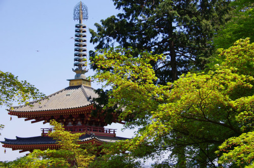 高幡不動尊201104-4