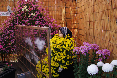 高幡不動尊201011-6
