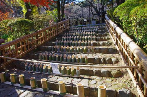 京王百草園201311-3