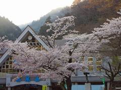 高尾山0904-9