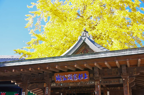 高幡不動尊201311-10