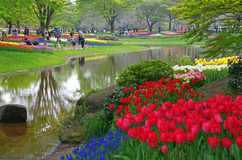 昭和記念公園201404-7