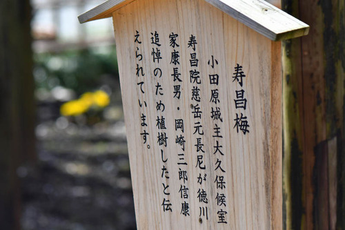 京王百草園201702