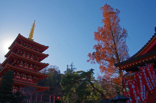高幡不動201312-5