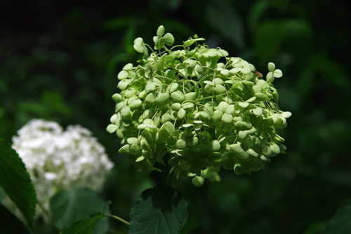 ��Ȩ��ưº20100710-7