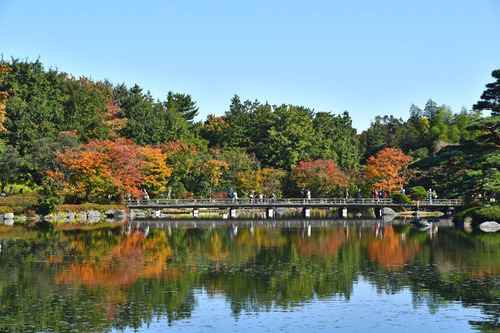 昭和記念公園201611