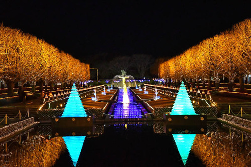 昭和記念公園イルミネーション2016