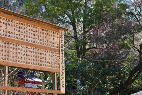 高幡不動尊201501-5