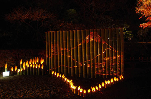 京王百草園201111-9